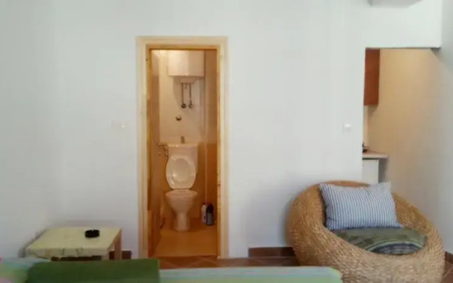 Apartment Irina
