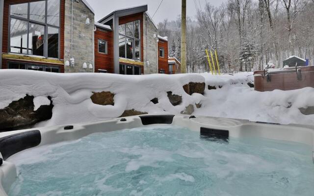 Chalets Alpins -15 Chemin des Quarante