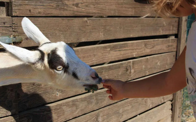 Cascina Bosco Gerolo