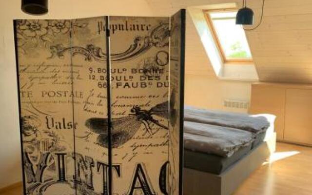 Apartmán U Venuše