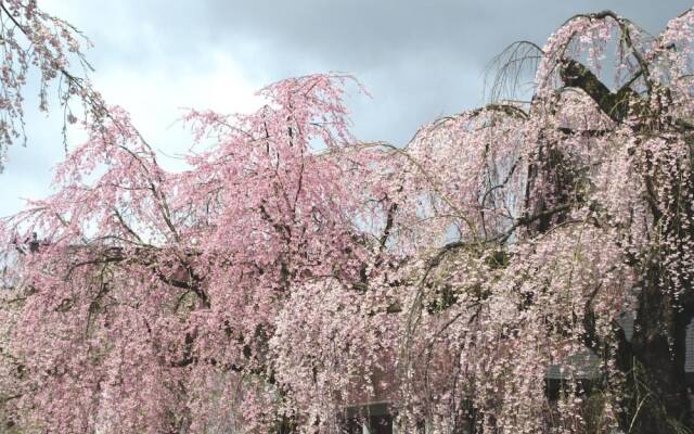 Hotel Folkloro Kakunodate