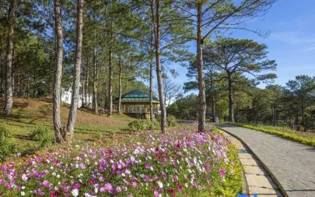 Kim Resort - Khu Nghĩ Dưỡng Rừng Lá Kim
