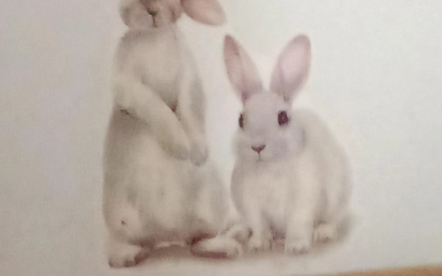 Inn-Jerez Loft Veg E Senza Fumo