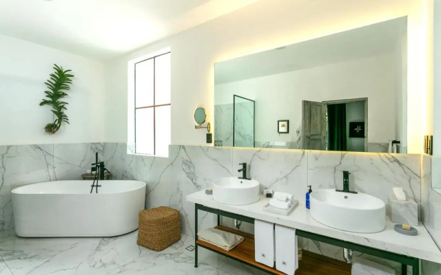 Orchid House Polanco