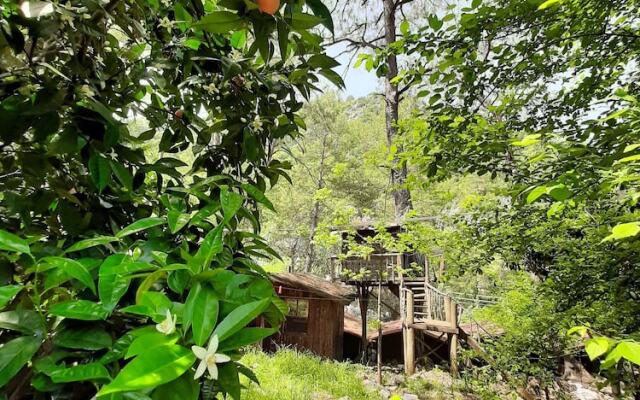 Altaris Bungalows Olympos