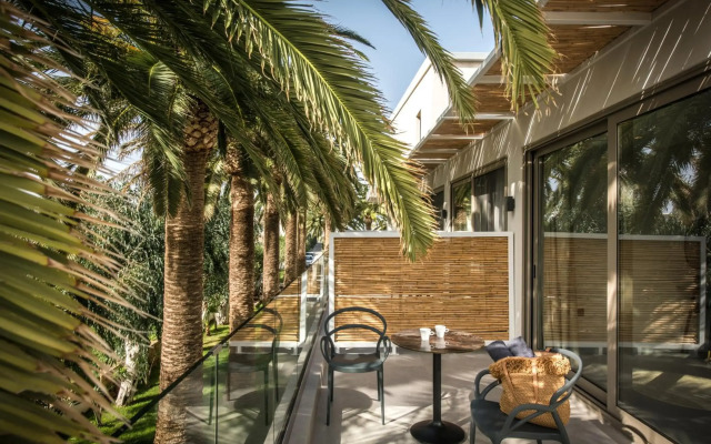 Drossia Palms Hotel Studios