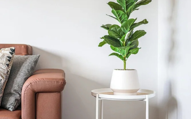 StayAU Gorgeous 5BR BBQ Home Geelong