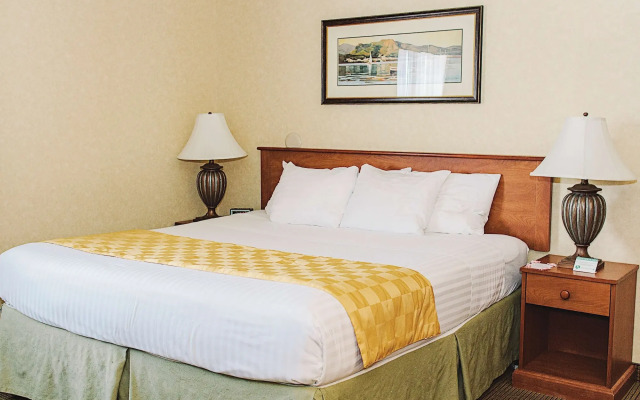 Lavissh Inn & Suites