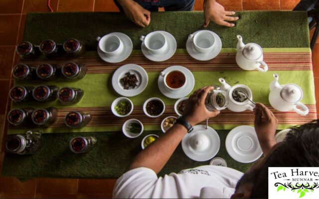 Tea Harvester Munnar