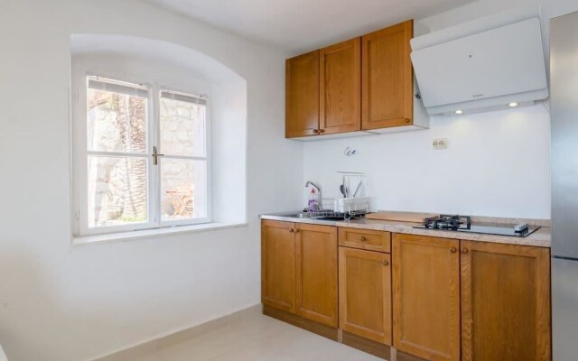 Luxury Apartment Ladovina