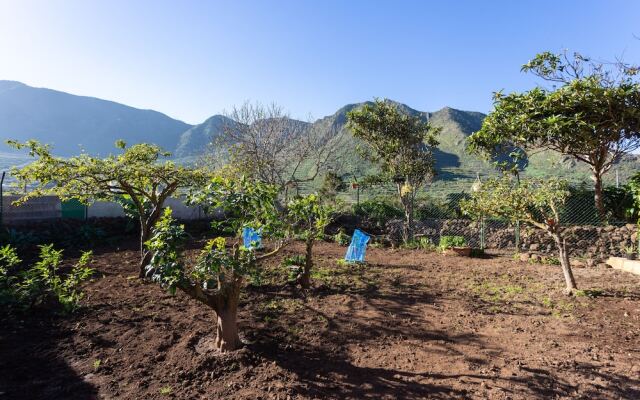 Homelike Rustic House Orchard And Wifi