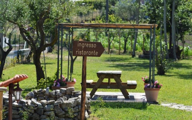 Agriturismo Terra di Elea