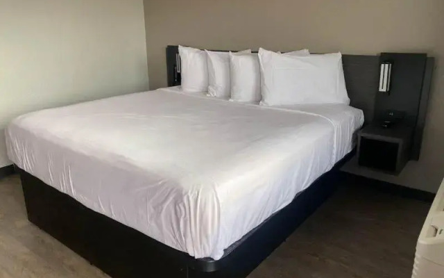 Motel 6 Albuquerque, Nm - Midtown