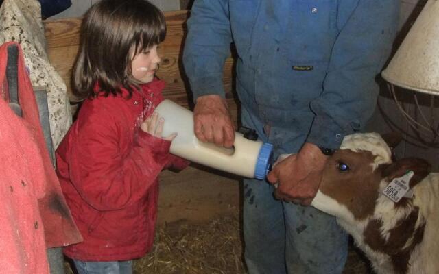 Waldschönau Gaisbacher