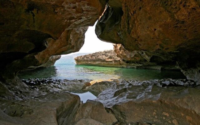 Messinian Horizons