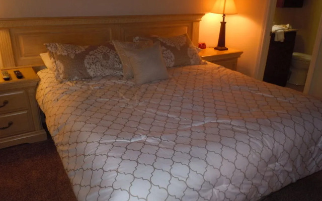 Escape For All Seasons