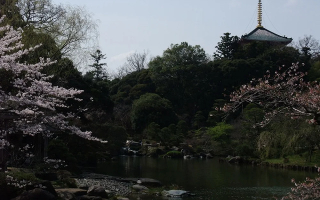 International Guesthouse Azure Narita