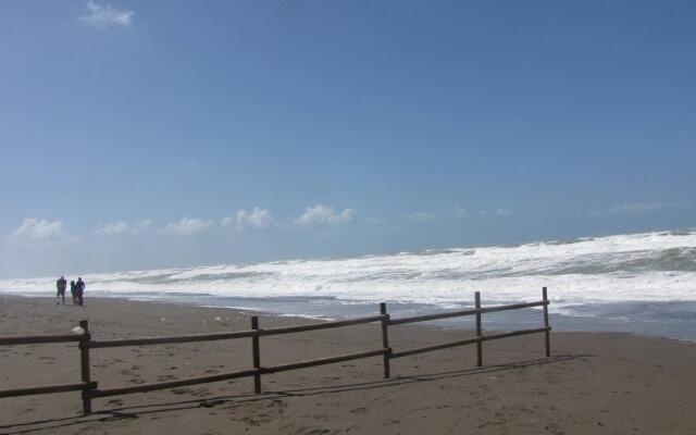 Happy Camp Camping Free Beach