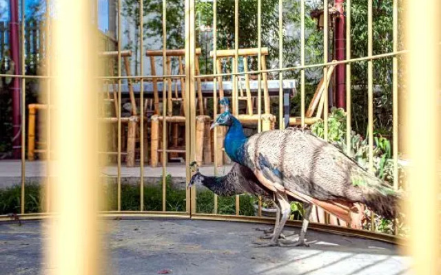 Dali Cangyulou Homestay (Bohai Branch)