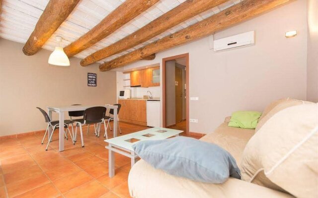 Apartments In Barcelona (AinB) Raval-Hospital