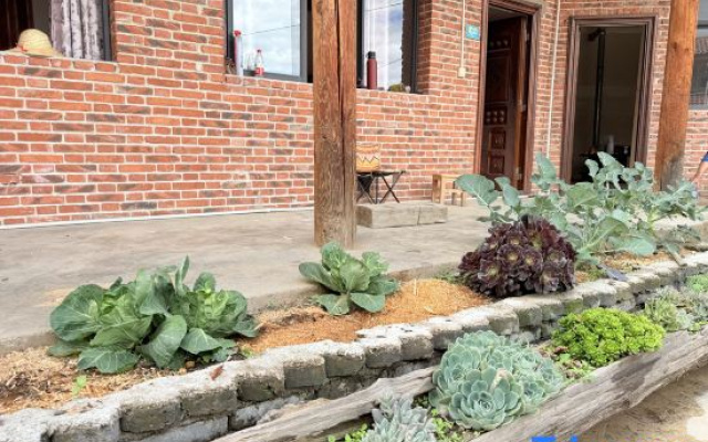 Golden Dream Maker Homestay at Haba Snow Mountain