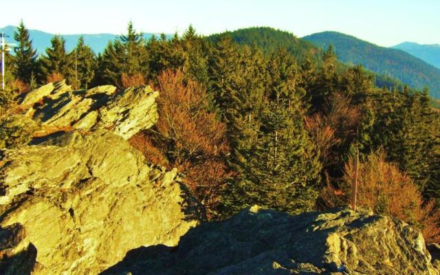 Ferienwohnungen/Pension Wagerer