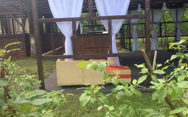 Forest Mirage Pension