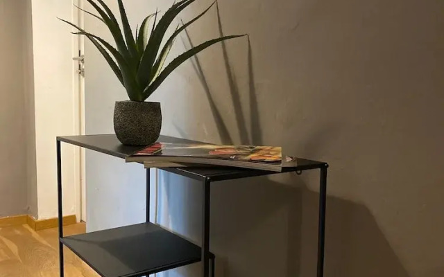 Room-spacious Room in Coliving Apartment