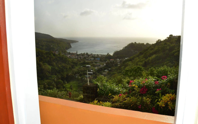 Tropical Paradise View