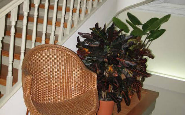 Guest House 31 De Janeiro