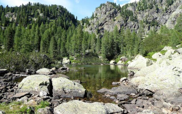 Wooden chalet in Pieve Tesino with garden