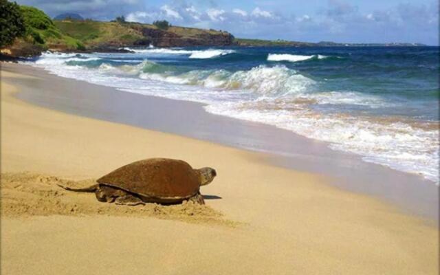 Quiet Kiahuna plantation , New Remodel with AC