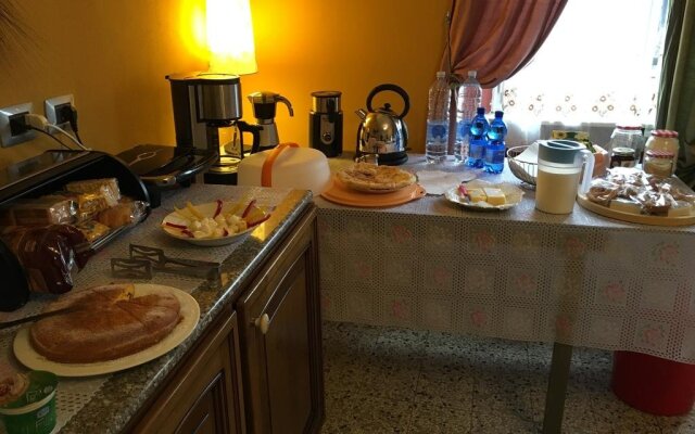 La Rosa tra le Vigne