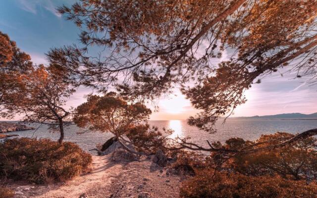 LifeWay CRANC Xperience by GuestWay