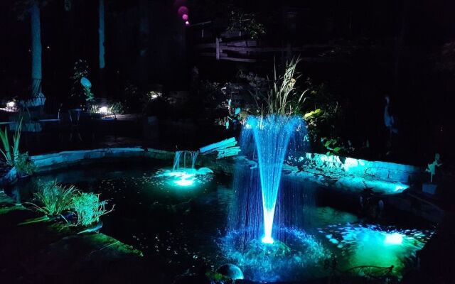 Forest Hill Bed & Breakfast