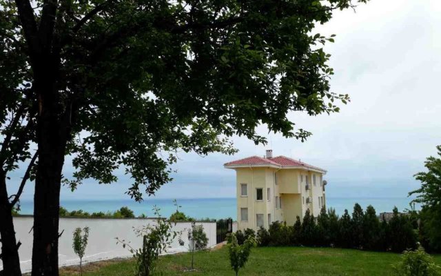 Villa Byala Grape House