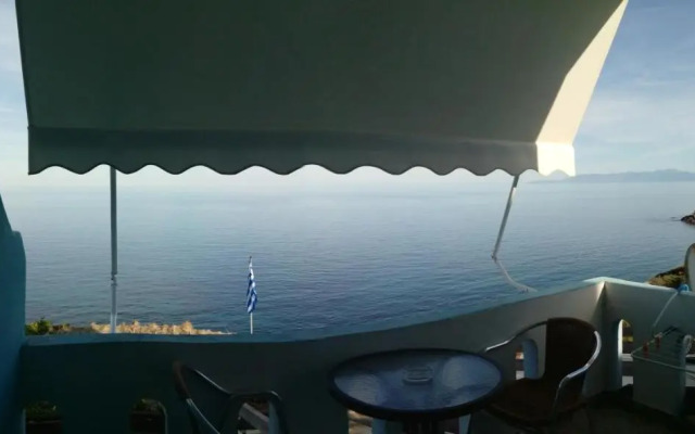 Delfini