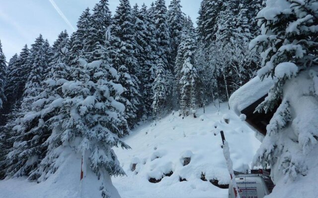 Chalet Snowy Hills