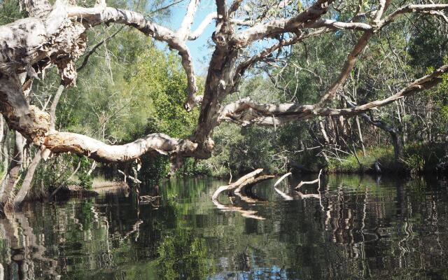 Lake Weyba Cottages