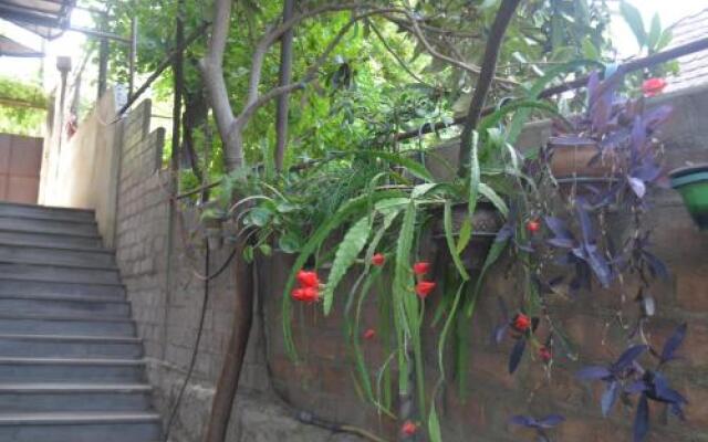 Alexs Cosy Guesthouse