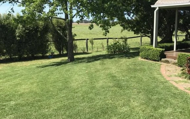The Willows B n B