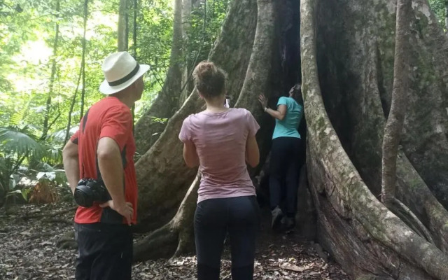 Tangkoko Jungle Homestay By OYO