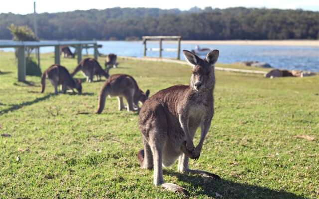 Holiday Haven Lake Conjola