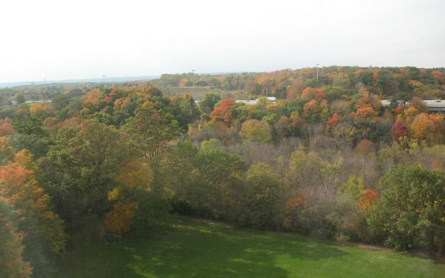 TownePlace Suites by Marriott Toronto Oakville