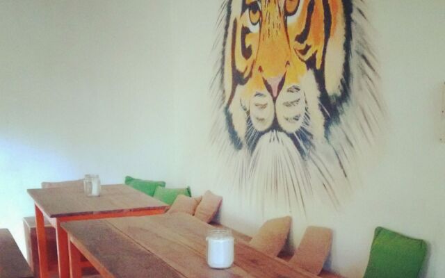 JUNGLE by thehostelcrowd