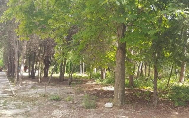 North Star 1 - sea apartment