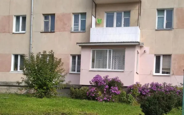 Затишна 2 кімнатна квартира Трускавець