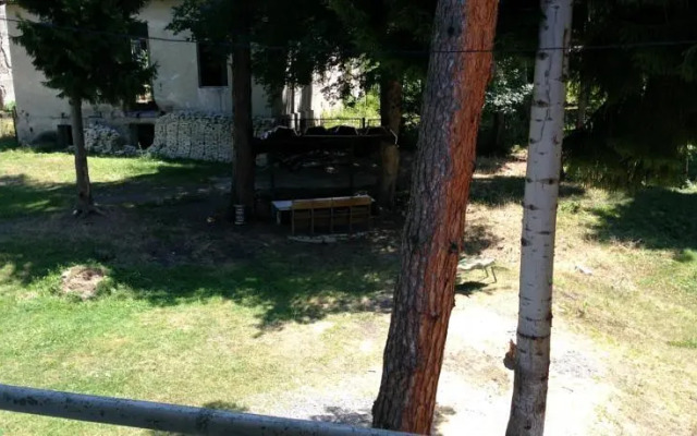 Borjomi Plato Hostel