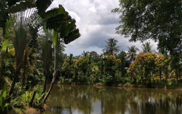 Sepilok Jungle Resort