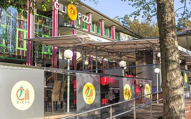 Basanavičiaus g. 45 Apartments